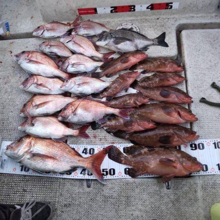 ズズキ・鯛・アコウ・ヒラメ